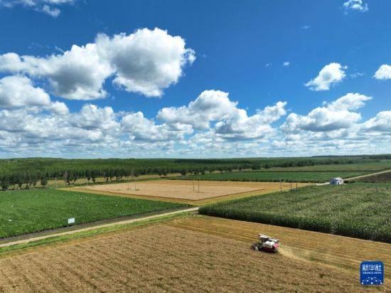 皇冠信用开户
_立秋农事正当忙