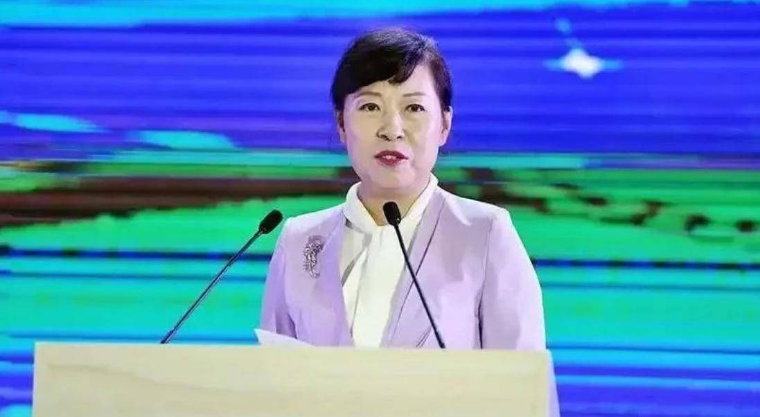 皇冠信用网开户_“换装主席”王莉霞的堕落：从光鲜人设到腐败深渊