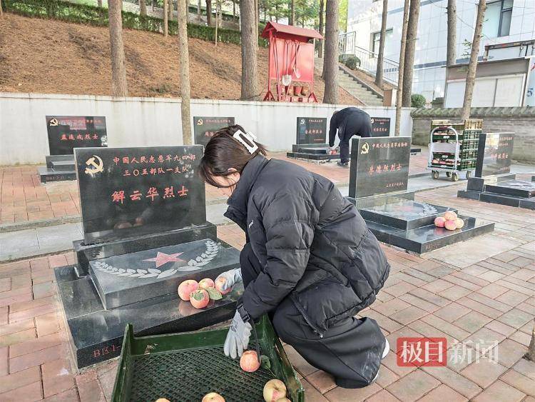 皇冠信用盘登3代理注册_泪目皇冠信用盘登3代理注册！沈阳男子带1650个苹果到丹东抗美援朝烈士陵园