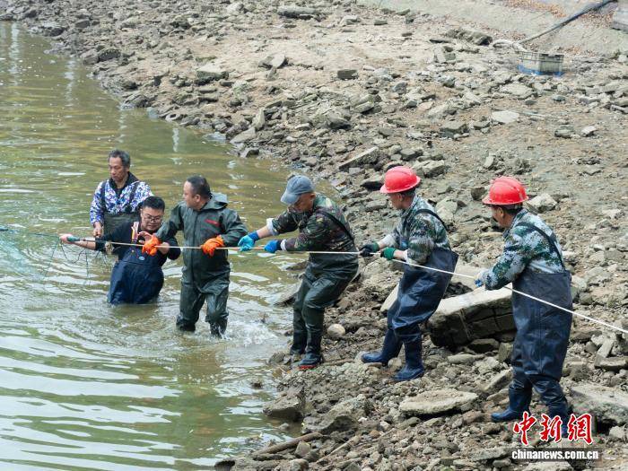 皇冠信用盘怎么开户
_湖南一高校冬捕5000斤鲜鱼 邀全校师生免费吃鱼迎元旦