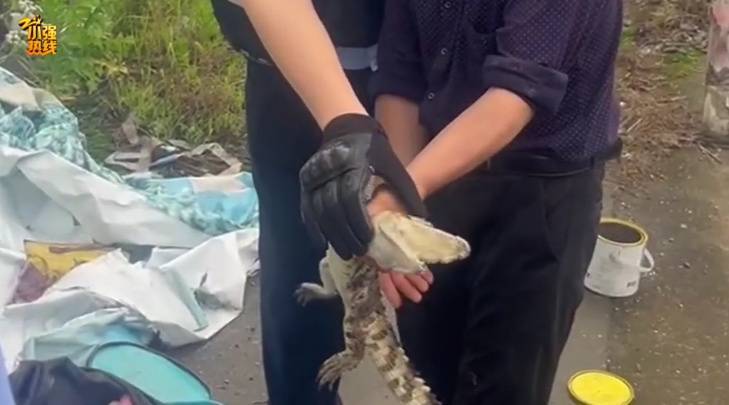 皇冠信用網登2代理_吓一大跳皇冠信用網登2代理！浙江一男子钓鱼竟然钓到了…异常凶猛！