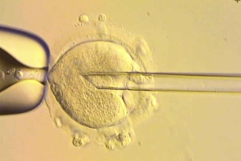 皇冠信用網怎么申请_世界首创！英国成功结合3人基因诞生婴儿截断遗传病传播皇冠信用網怎么申请，已有8名婴儿出生