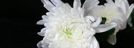 韦斯特罗斯vs赫尔辛堡_乌军士兵乔装成俄军韦斯特罗斯vs赫尔辛堡，与俄士兵寒暄，随后趁其不备将两名俄军枪杀，无人机拍下全过程