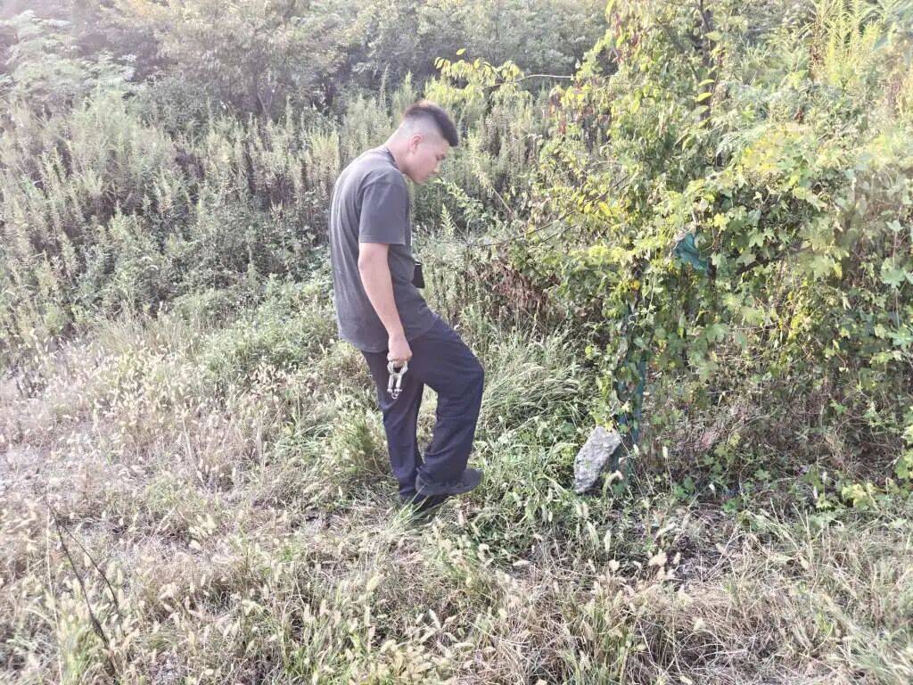 正网皇冠信用网_浙江一姑娘以奶茶为记号正网皇冠信用网,竟然在草丛里藏了11万现金!